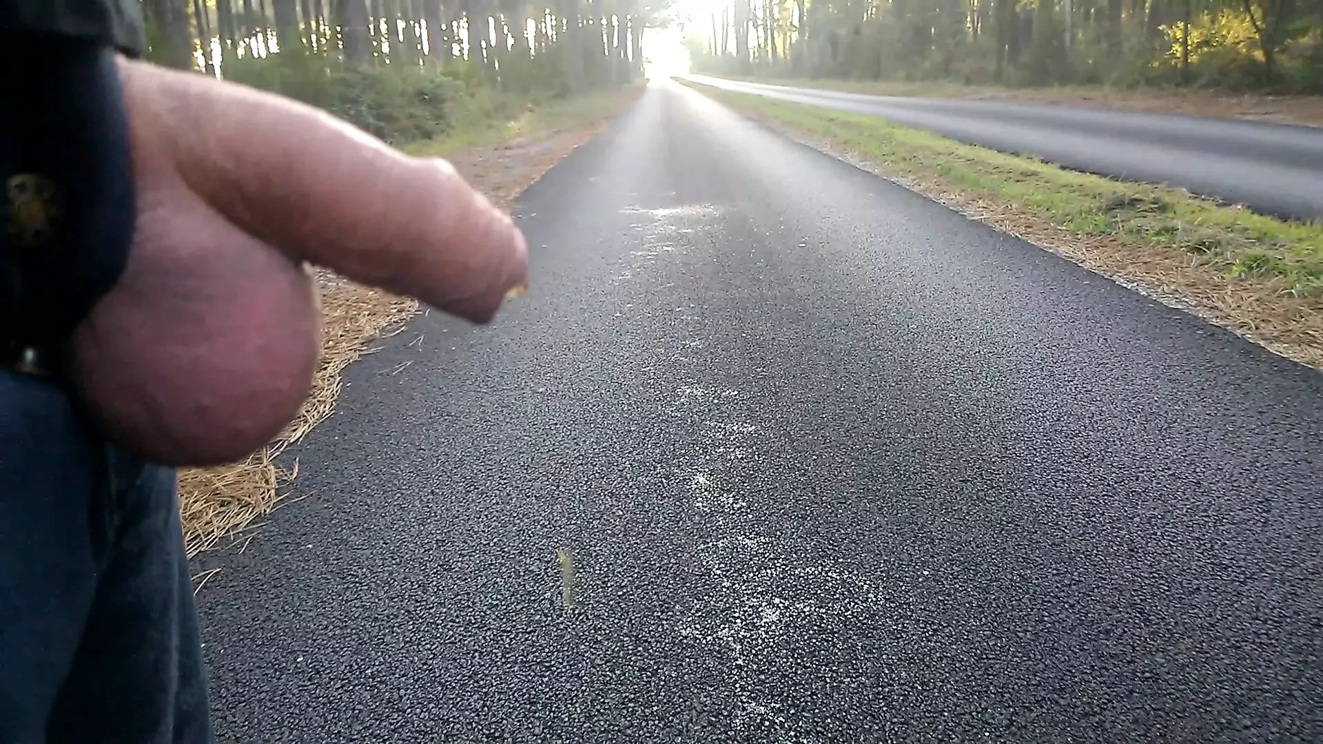 Pišanje na putu