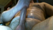 Pratinjau video