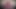 Crossdresser with big boobs in nighty masturbates