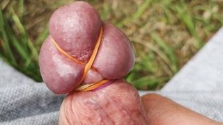 Outdoor tied cock and cum