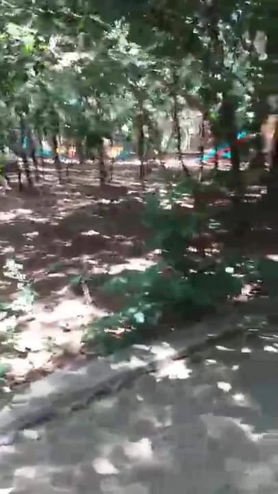 Walking in the park