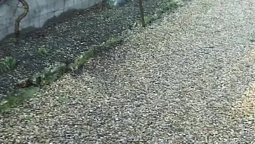 Pelacur Prancis 21 tahun bisa bikin siapa saja crot