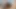 Ateşli orta yaşlı seksi kadın yüzünde ve göğüslerinde patlayana kadar yarak emiyor