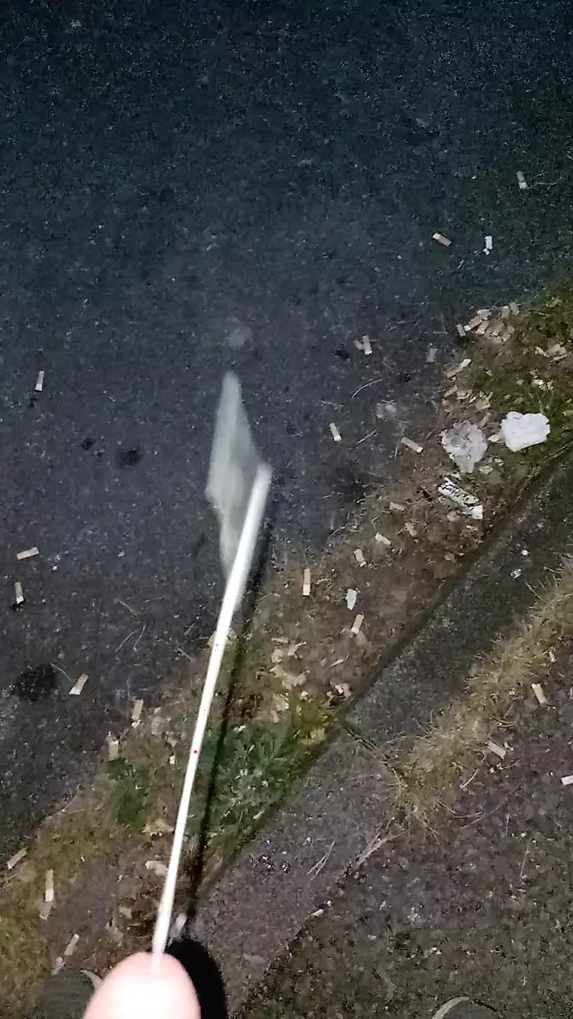 Wank offentligt