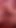 Curvy Girl Crystal White in Pink Fishnet Body at Real Old Young Gangbang