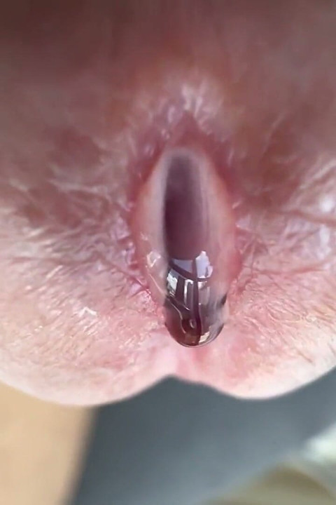 정자 이전 시점