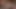 おしっこで濡れた娼婦たちが最年少の継妹にきつい膣を激しく突かせる