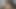 Curly Girl Sucking My Cock Rides Me and Get My Cum in Her Perfect Ass