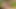 Najnapaljenija plavuša obrijana mokra pička šprica velikim vibratorom Vruća masturbacija Vol 8