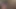 FkaC1