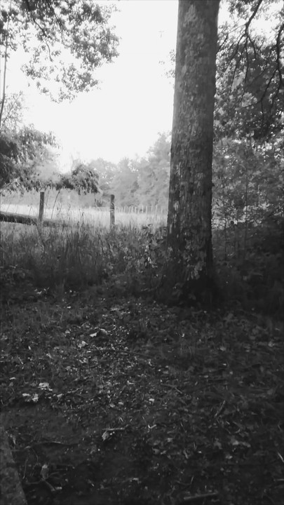 自然と発見スポーツ