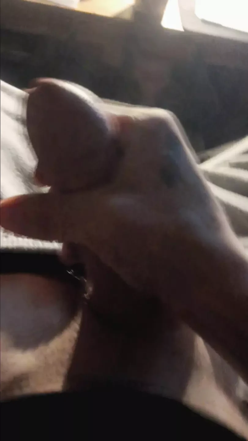 戏弄他厚厚的白鸡巴