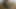 Thick amateur bbw Krissy Snow loves interracial oral
