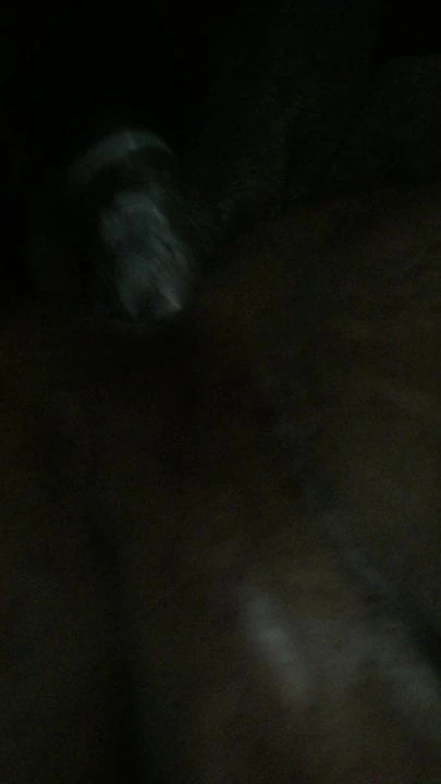 My shemale