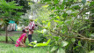 Pratinjau video