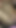 Çarpıcı an "Alman ev hanımı Creampie swinger parti boşalmak içeride kedi"