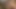 キッチンでおばあちゃんのセックス