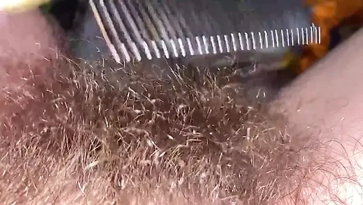 Brushing My Bush