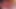 Büyük doğal memeli orta yaşlı seksi kadın yarak emiyor ve içine boşalmak için sert biniyor