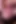 Hot and Horny Vanessa Does Doublevag with 2 BBC's
