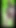 small dick undress in woods