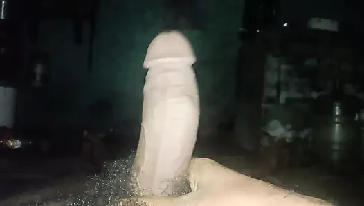 Mast Mota arazisi