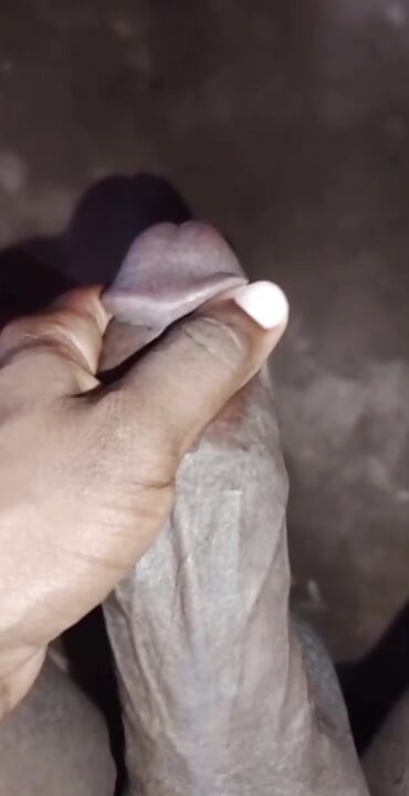 Sudanes cock