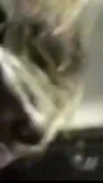 Iconic moment from "Devinn fucks Logan"