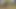 Bare Feet Naked In The Public Park April 2021