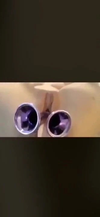 Anal horn
