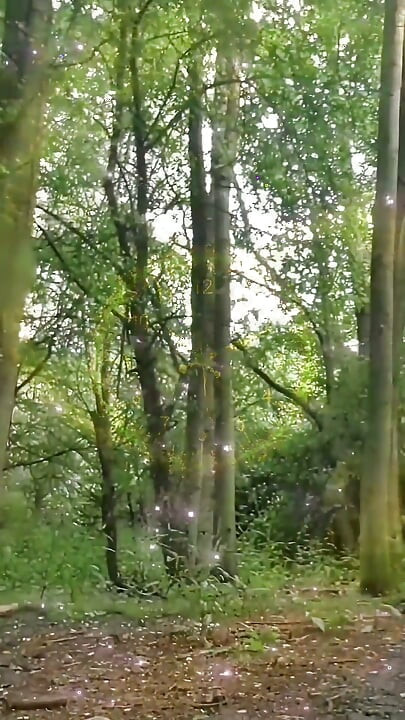 Fully Naked Walk in a Forest