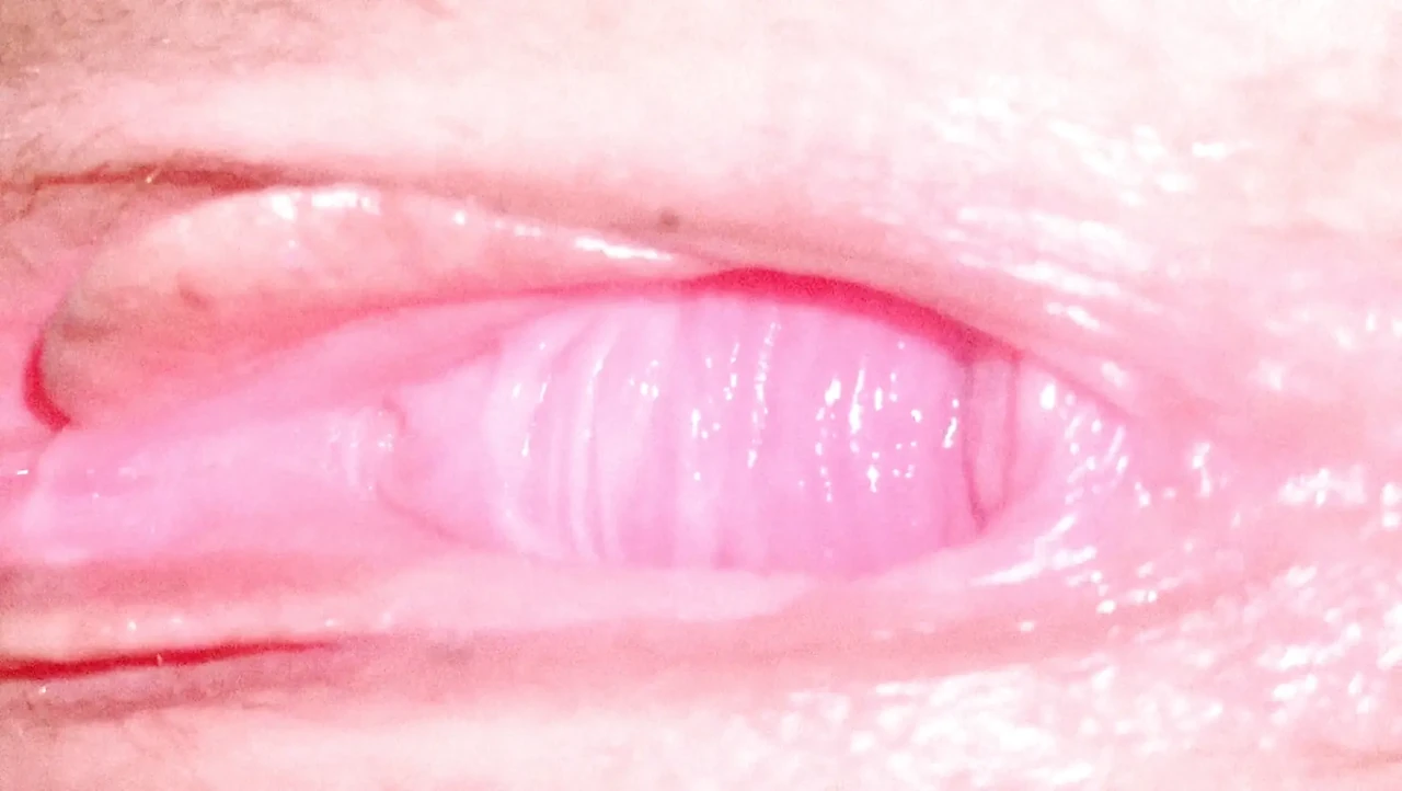 Closeup Pussy Inside Creampie