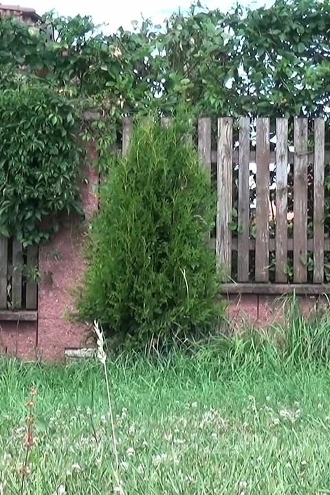 ใกล้สนามบินโดย Got2Pee ที่สาว ๆ มาฉี่