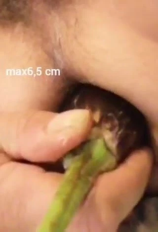 Eggplant