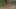 ドイツの扉の裏で熱心にやられる