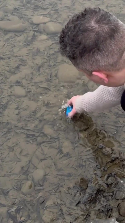 Survival Lifehack Bushcraft ✅ Survival Camping Lifehacks à l’extérieur, short de bushcraft