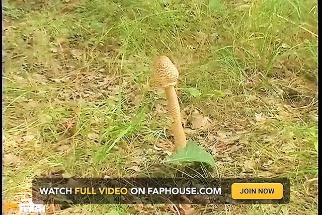 Experienced Doctor Helps a Redhead Girl and Bangs Deep Her Cunt in the Forest