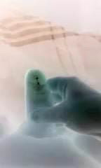 Negative Wank.
