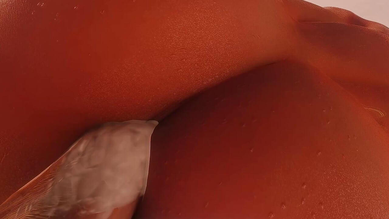 मजेदार वीडियो 411