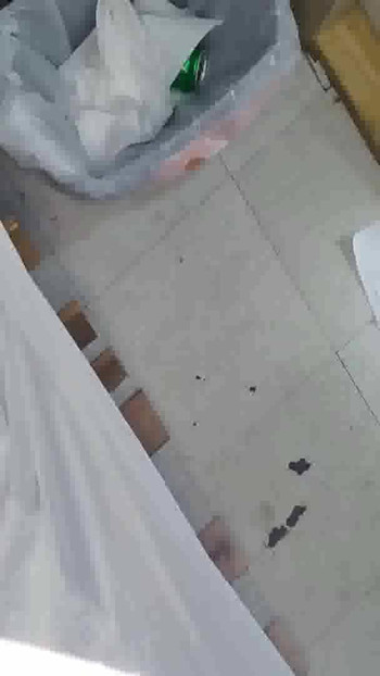 ช่วงเวลาทางอารมณ์จาก "สาวผิวดําแอฟริกันอเมริกัน enJoi Da Pussy Butt นางแบบแก้ผ้า 05"