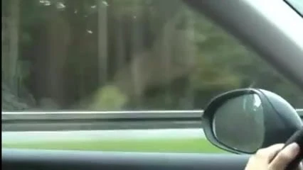 Zuzinka Czech student - orgasm while driving