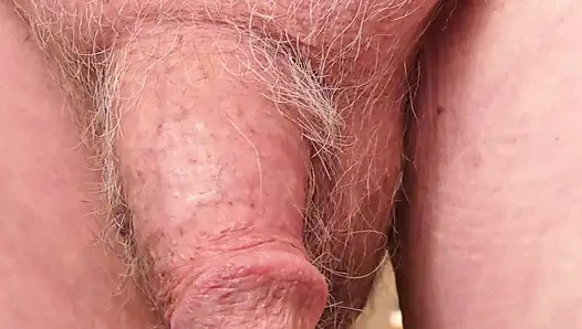 Old Cut cock