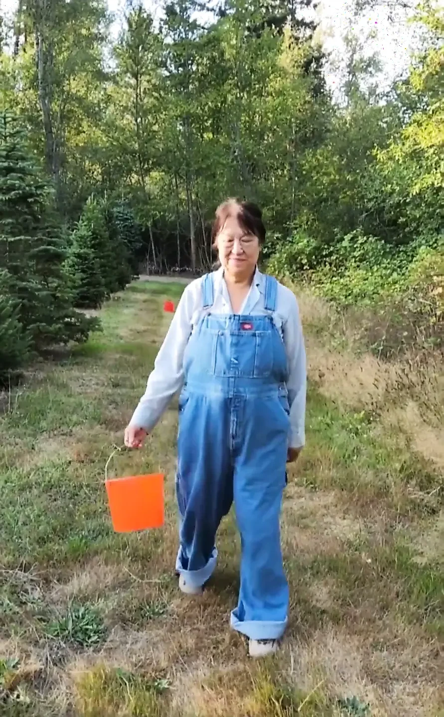 Time to Pick Blackberries