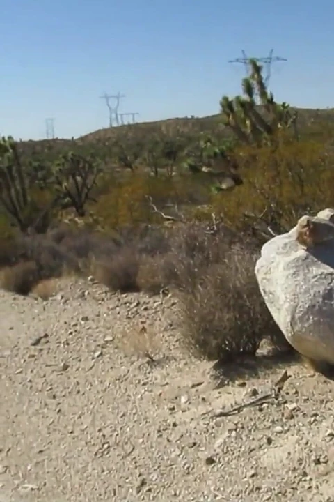 Desert Hike Jerkoff 2