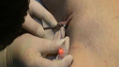 Bulgarian Pussy Genital Piercing INK BROTHERS BG (FGPL2)