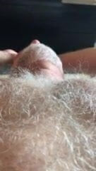 Urso