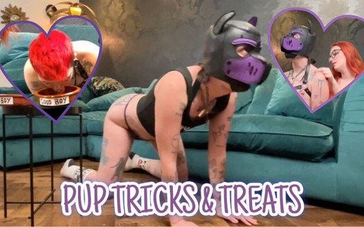 Video preview
