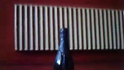 Champagne pleasure