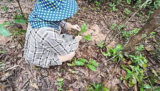 Thai girls walking and talking and picking mushrooms in the forest, secretly showing in the deep forest Clear Thai voice