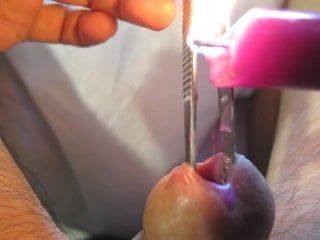 Urethra in hot  purple wax